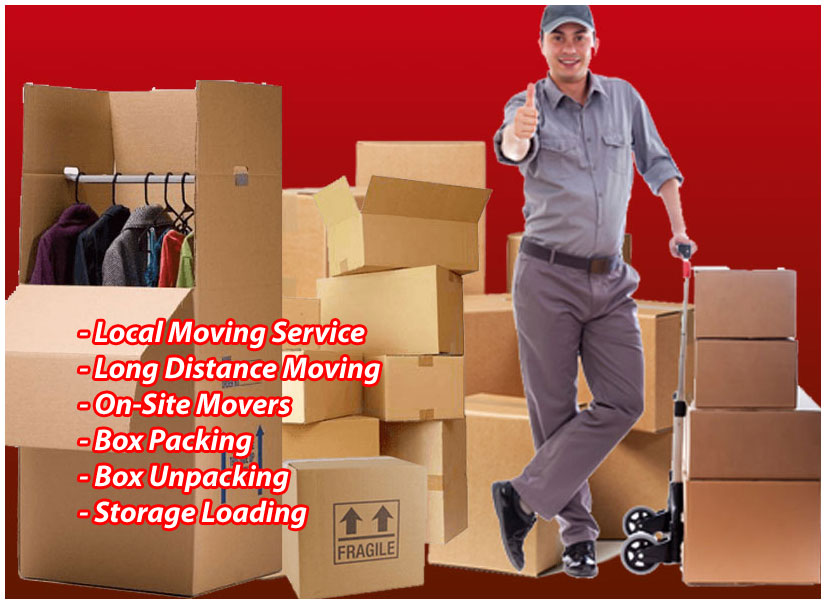 Packers And Movers Noida Sector 68